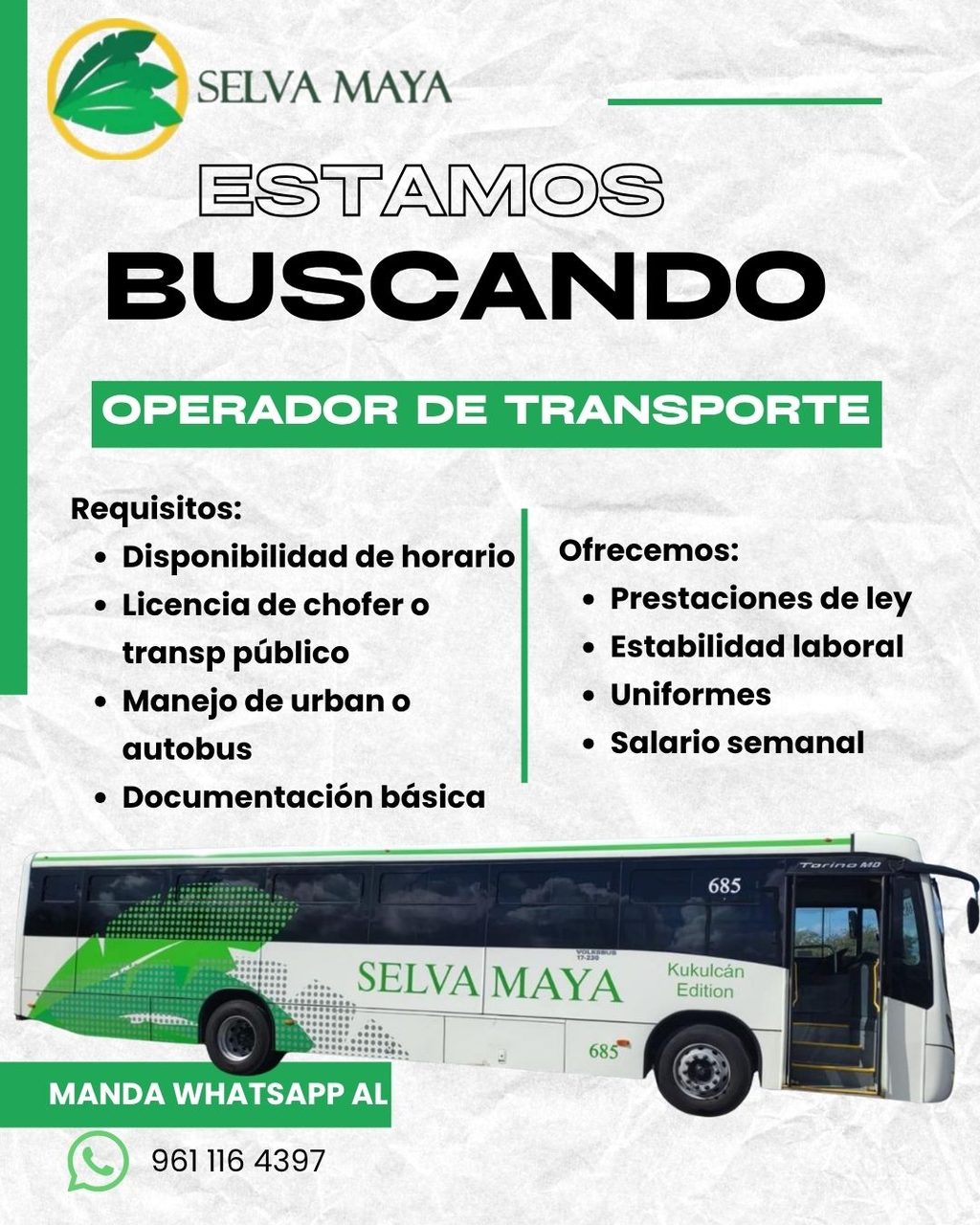 Empleo en Mérida — RH Autobuses Selva Maya