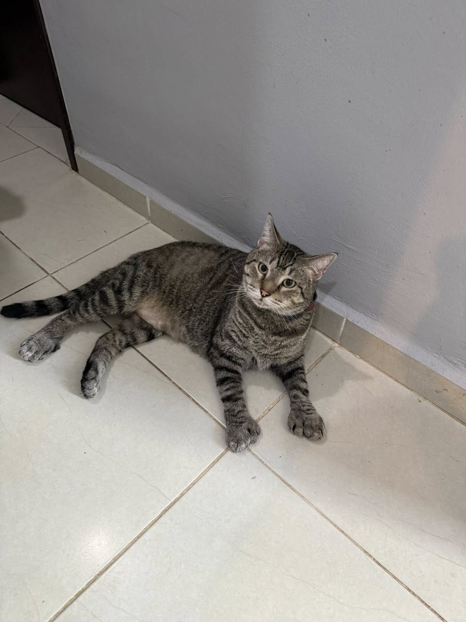 Silverio