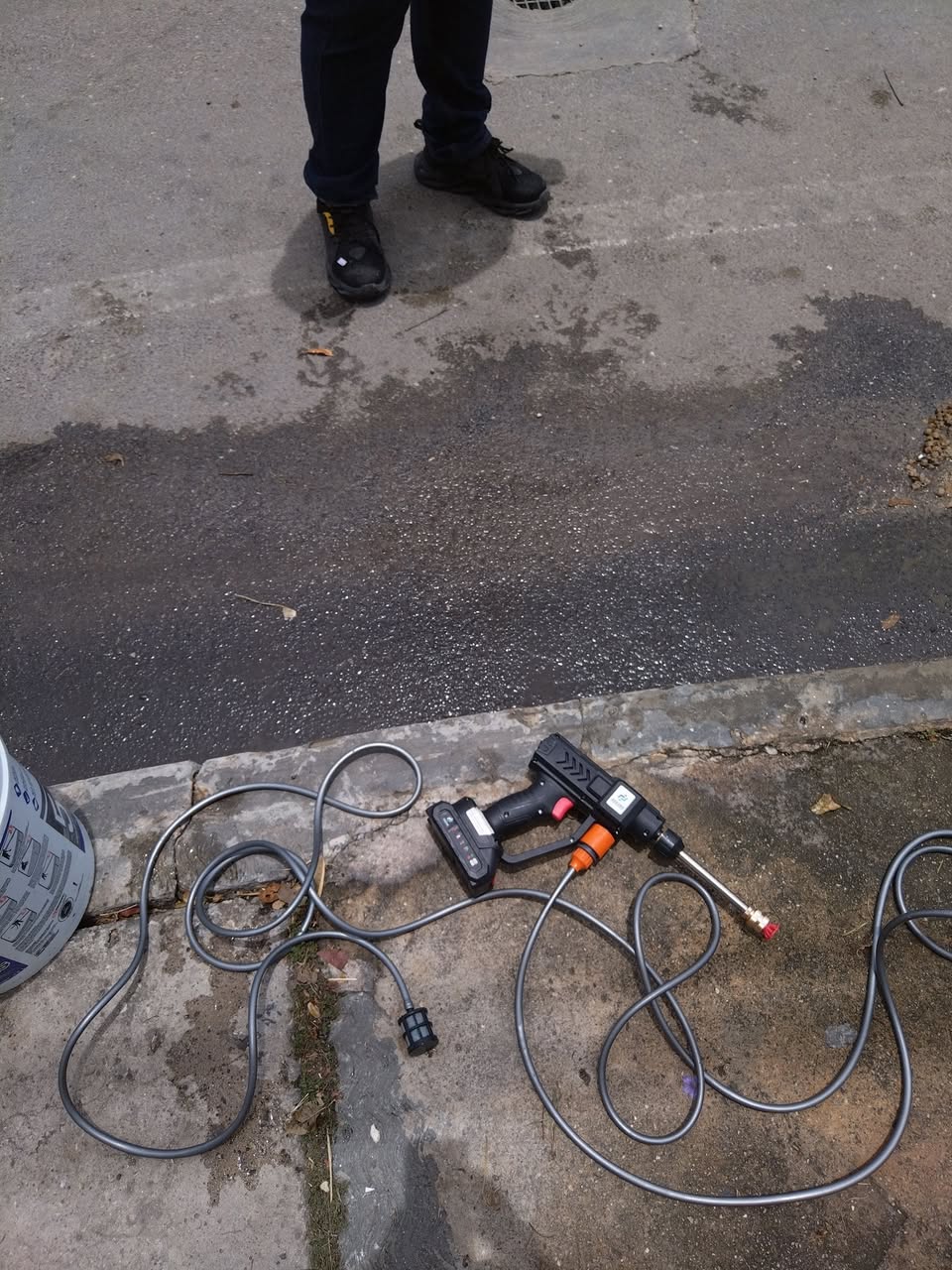 Perro ayuda médica en Mérida