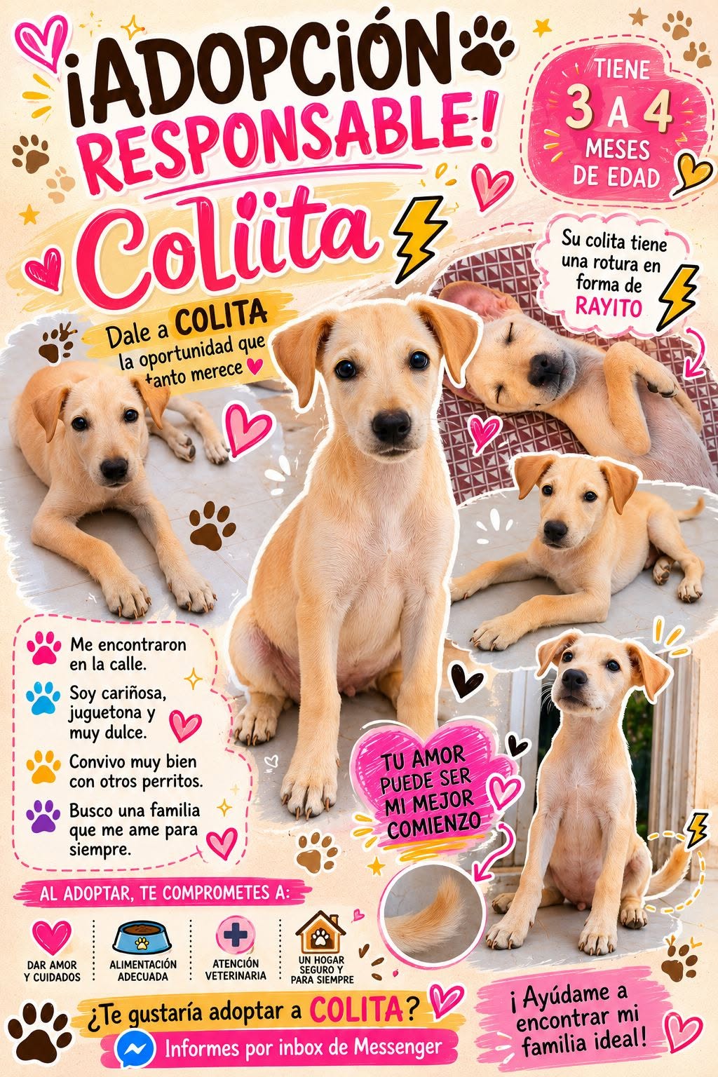 Colita