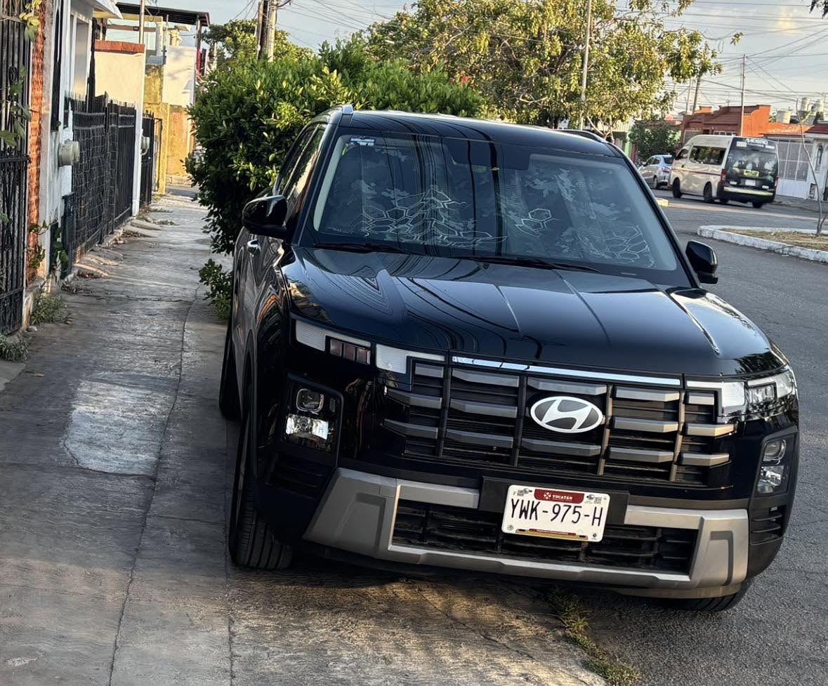 Perro rescate animal en Mérida