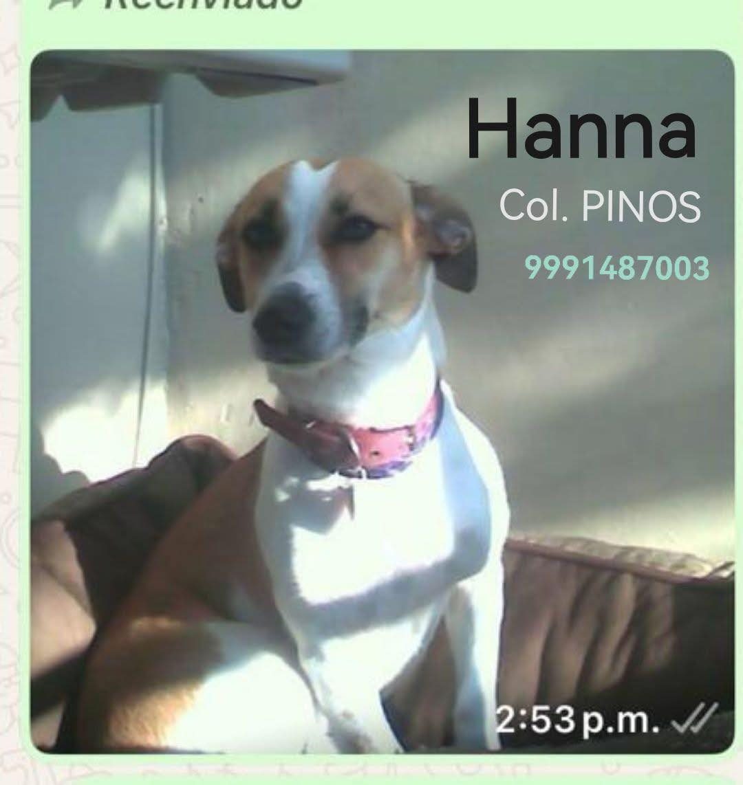 Hanna