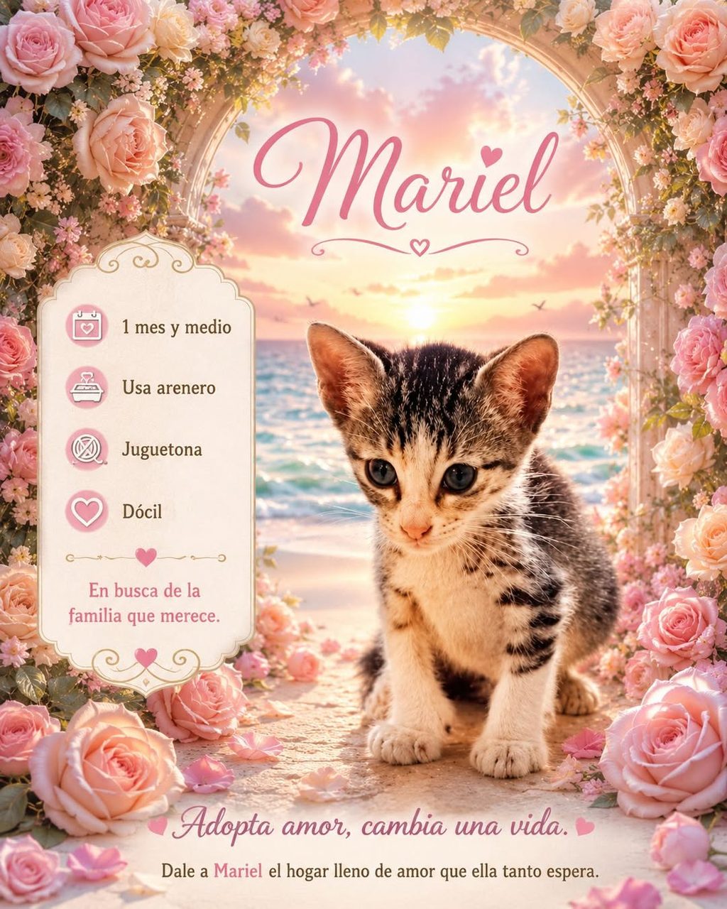 Afiche decorativo de adopción con gata bebé tabby sobre fondo floral rosa y playa, datos sobre los cuidados necesarios.