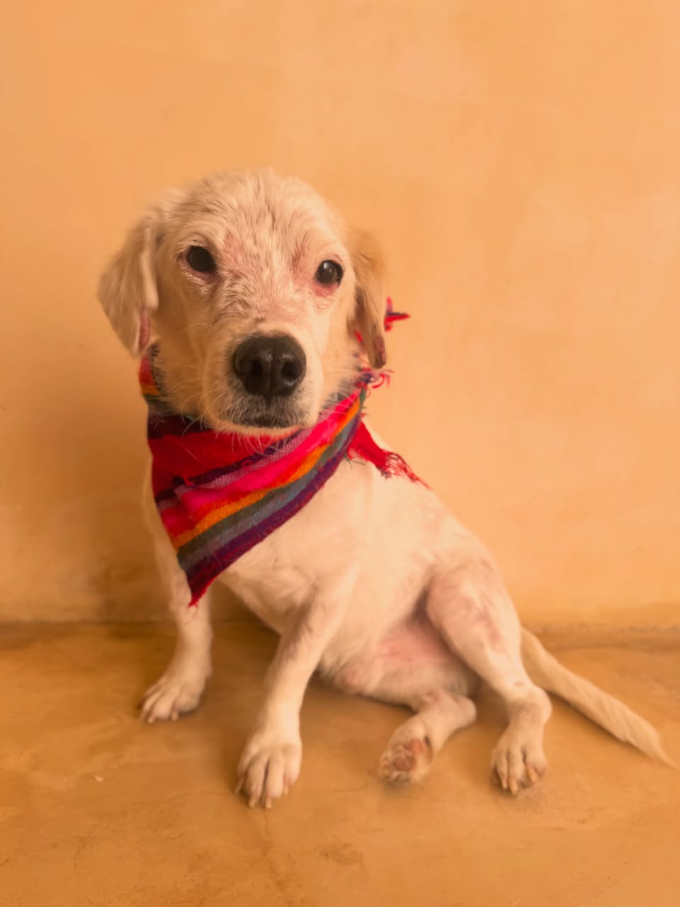 Huevito