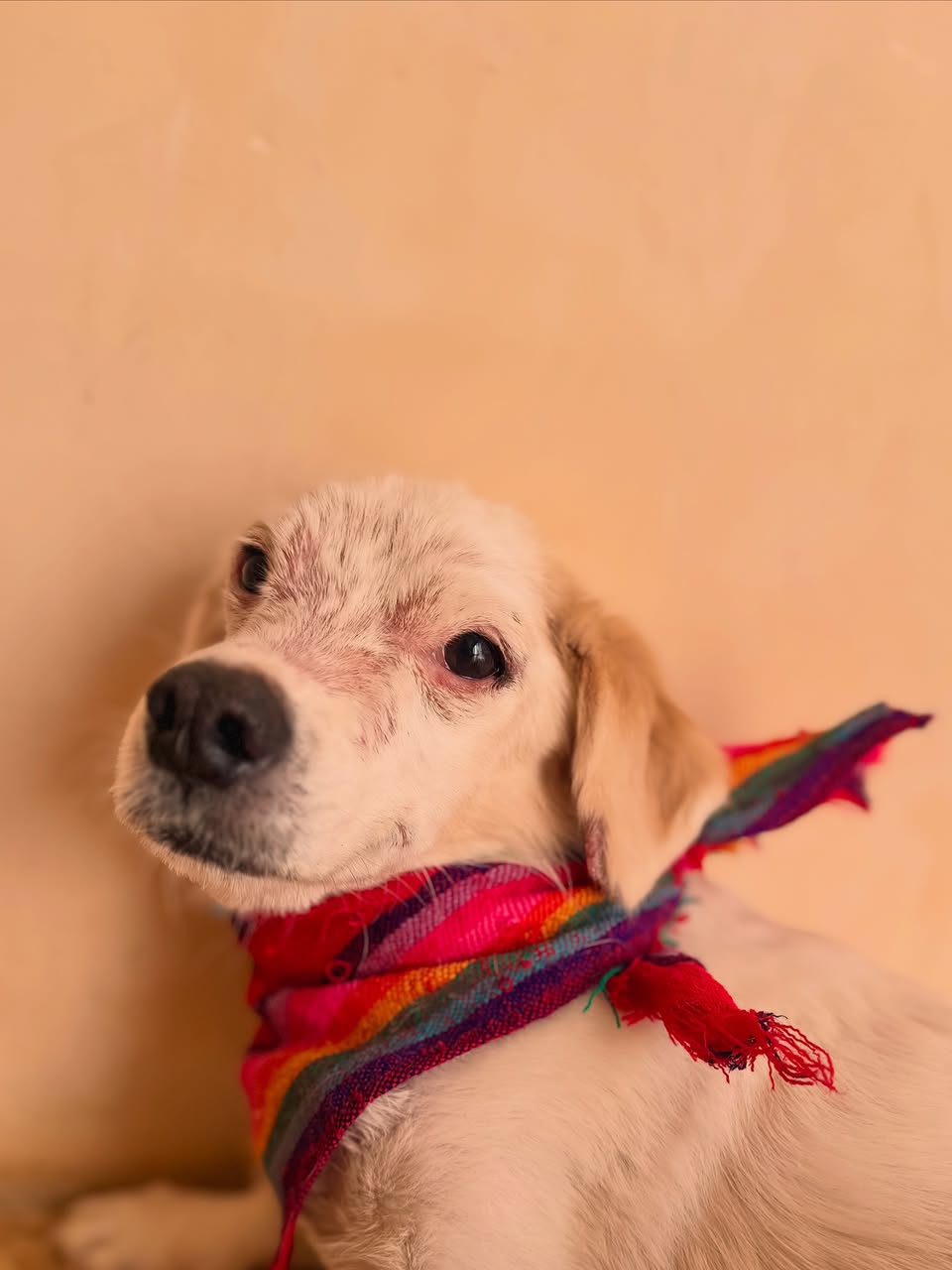 Huevito
