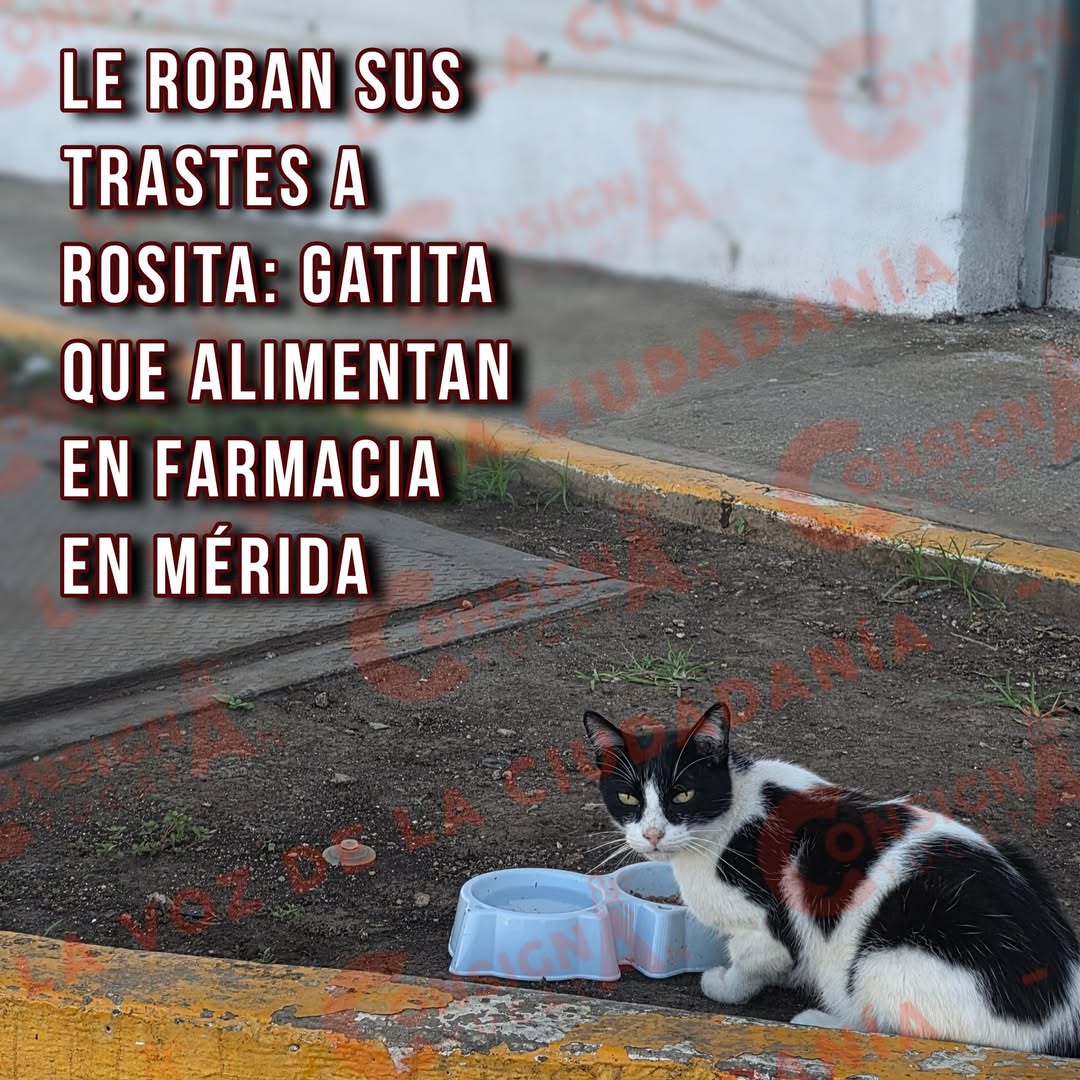 Rosita