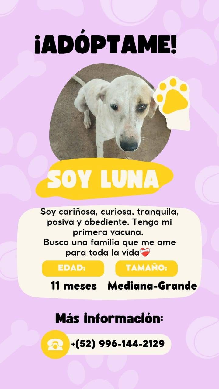 Perla