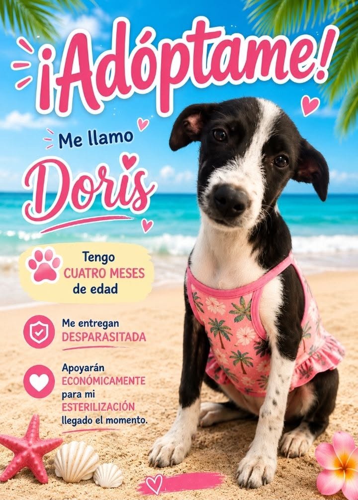 Doris