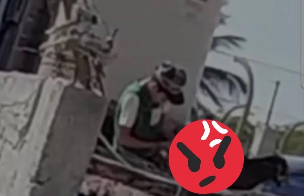 Otro mascota en Mérida