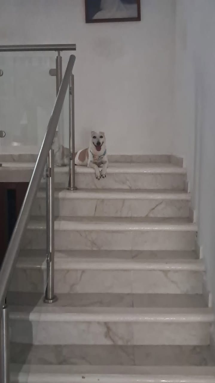 Hannah