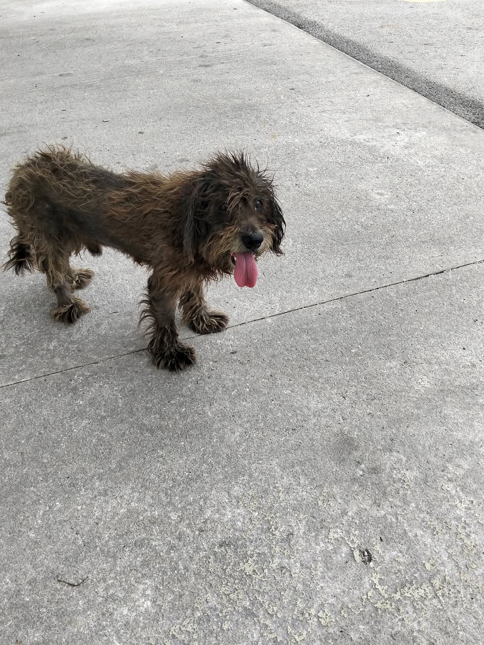 Corchito