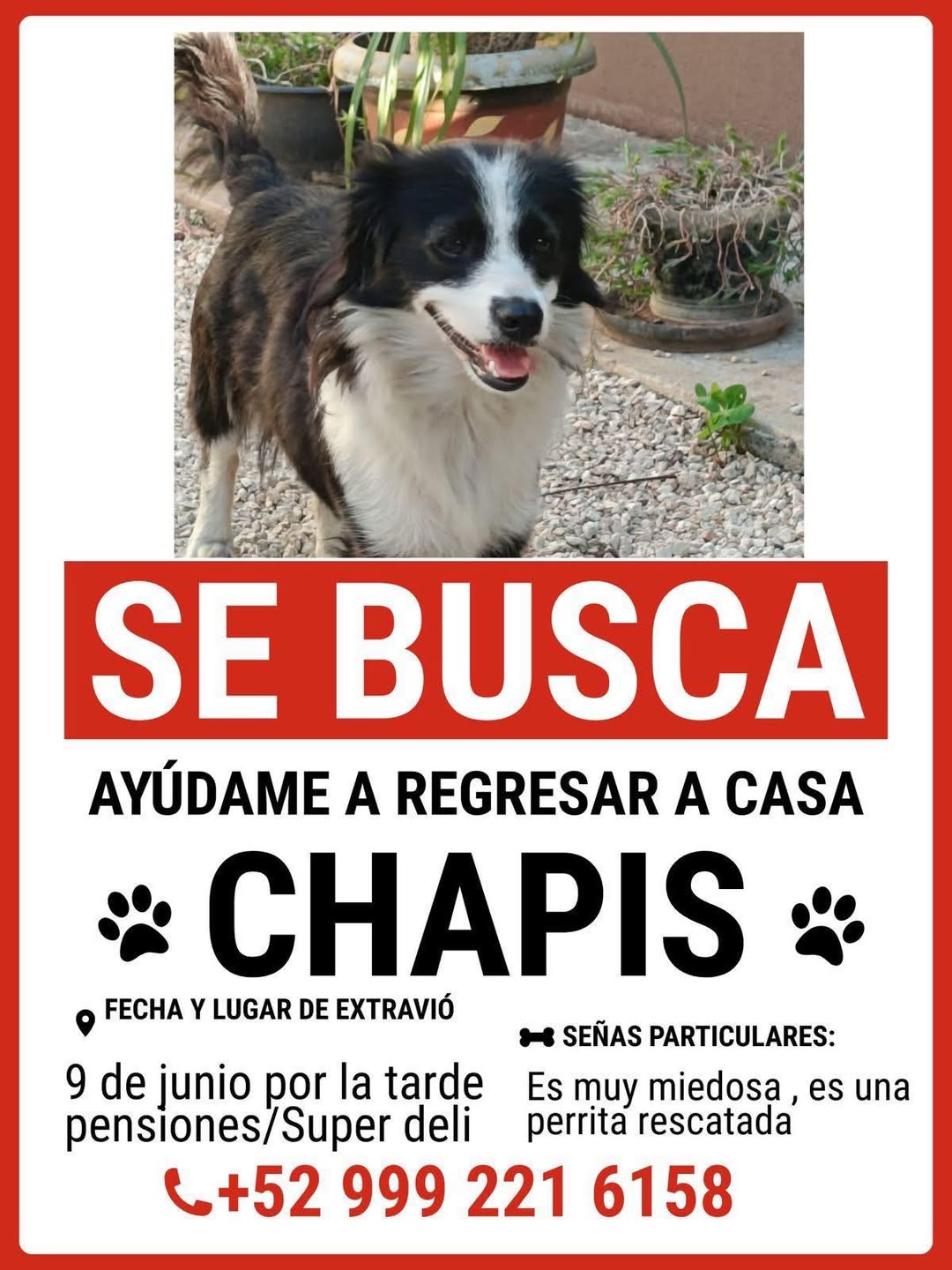 Chapiz