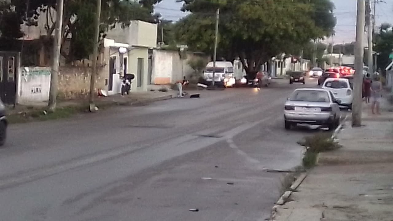 Perro rescate animal en Mérida