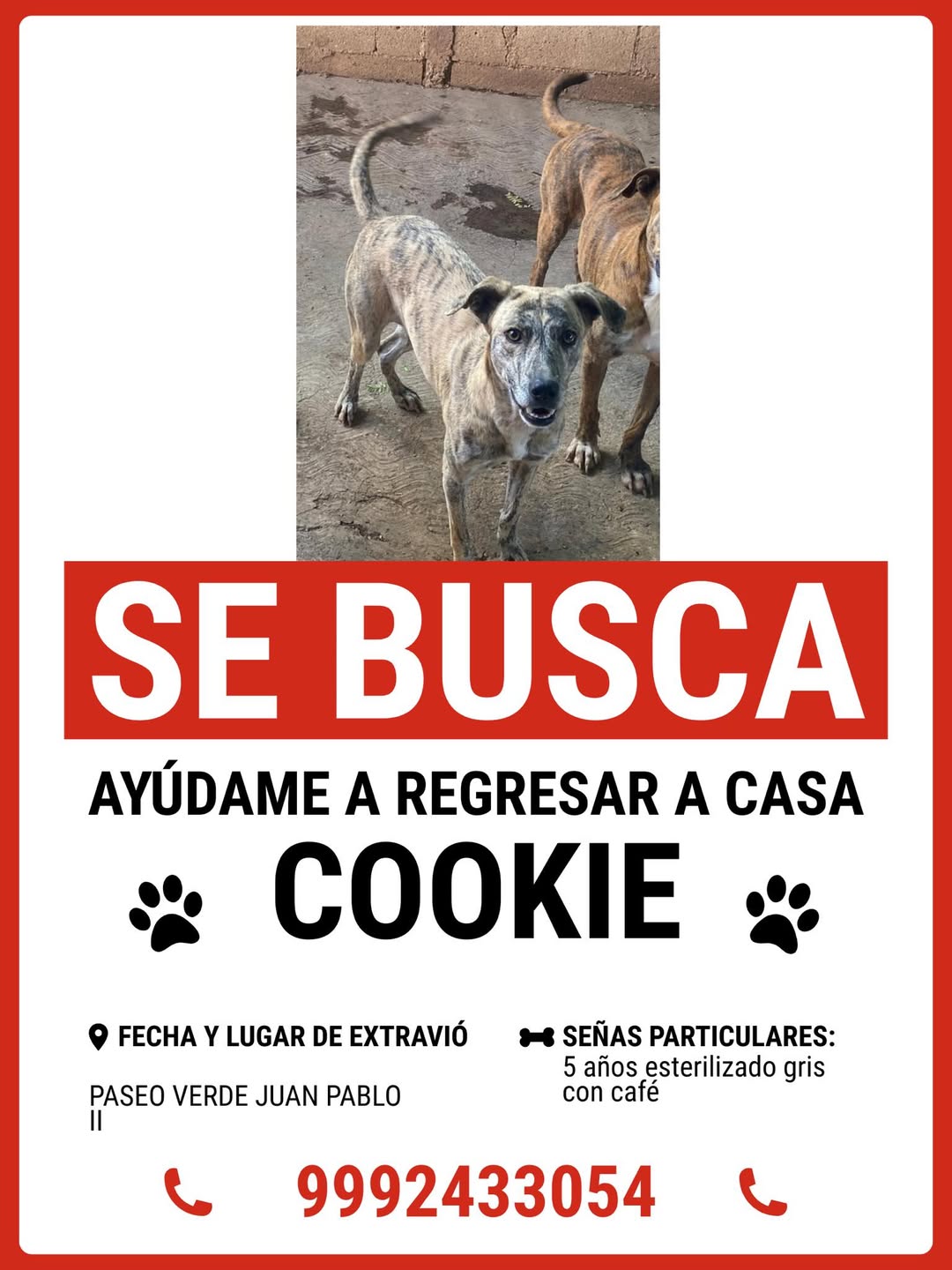 Cookie