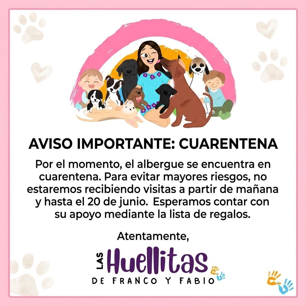 Perro mascota en Mérida