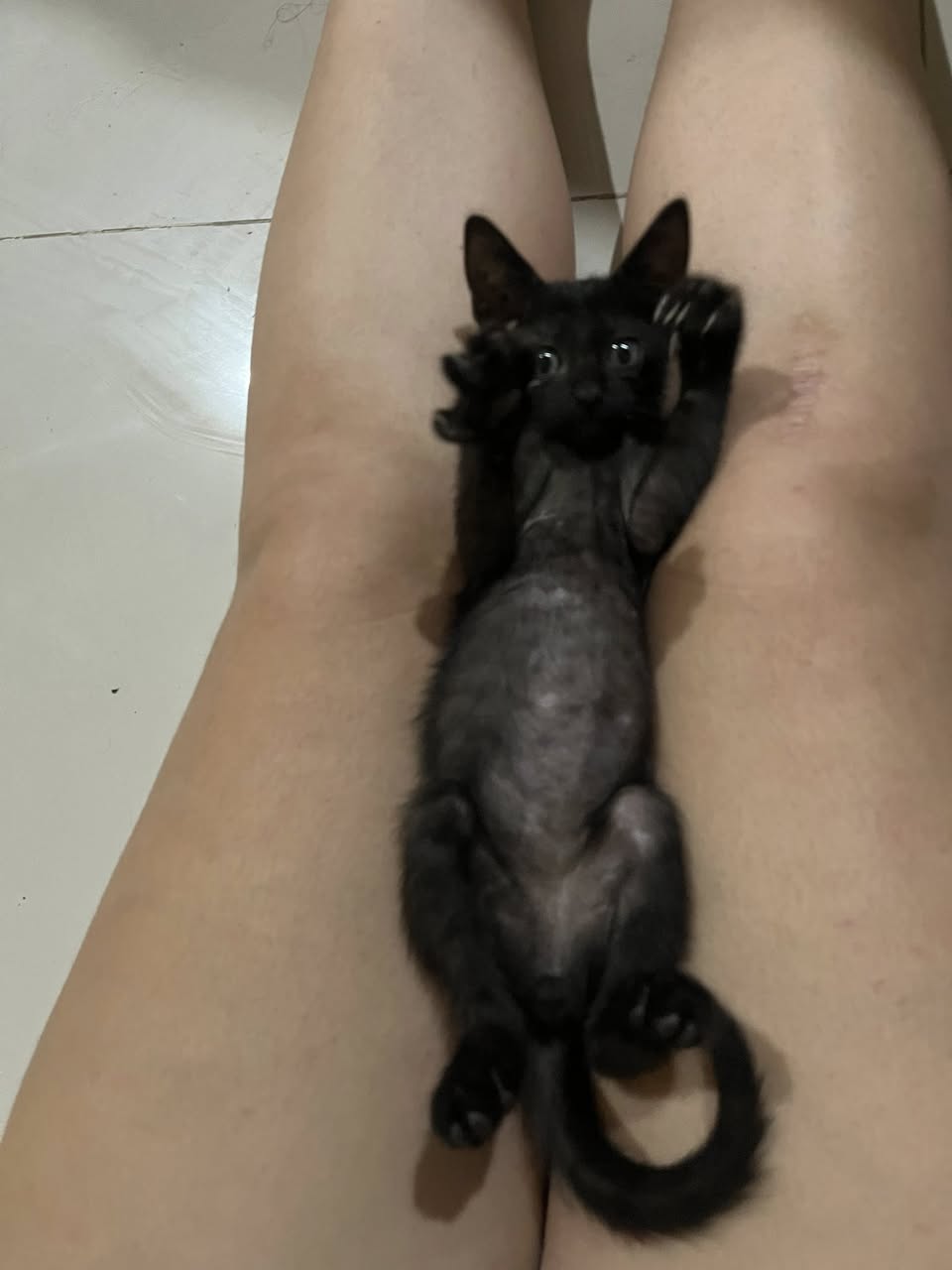 Chiquidracula