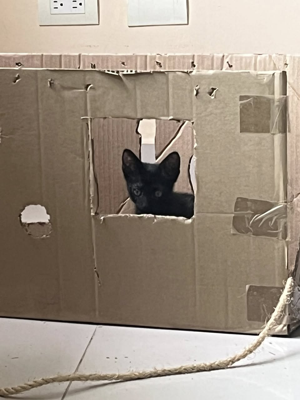 Chiquidracula