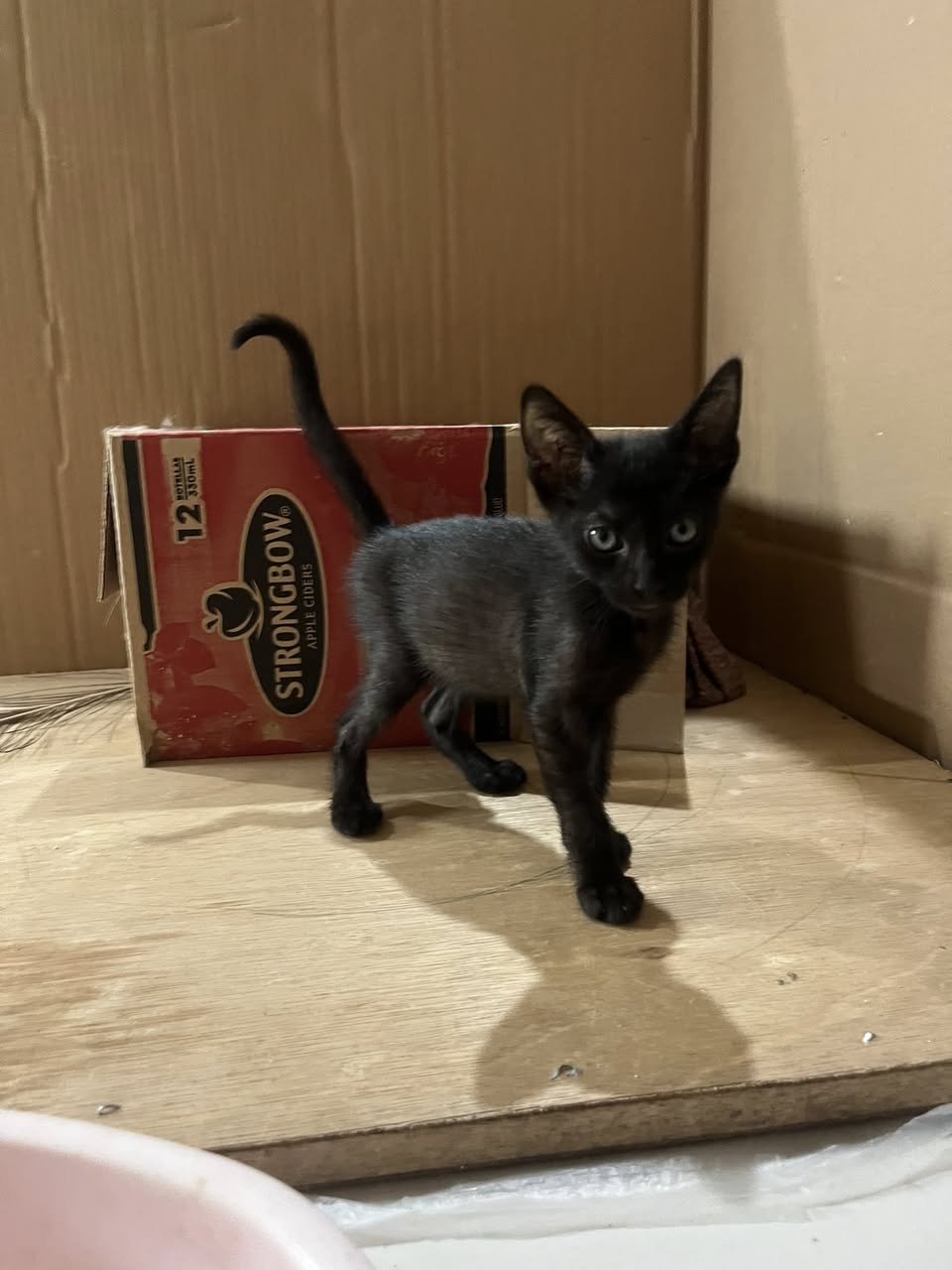 Chiquidracula
