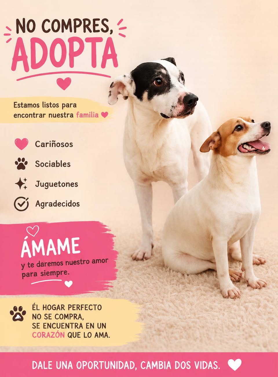 Luna y Scrapy
