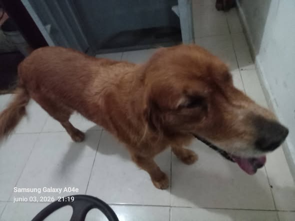Encontrada