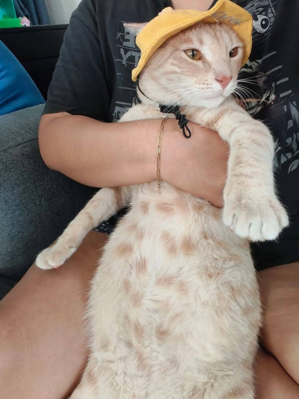 Mufasa