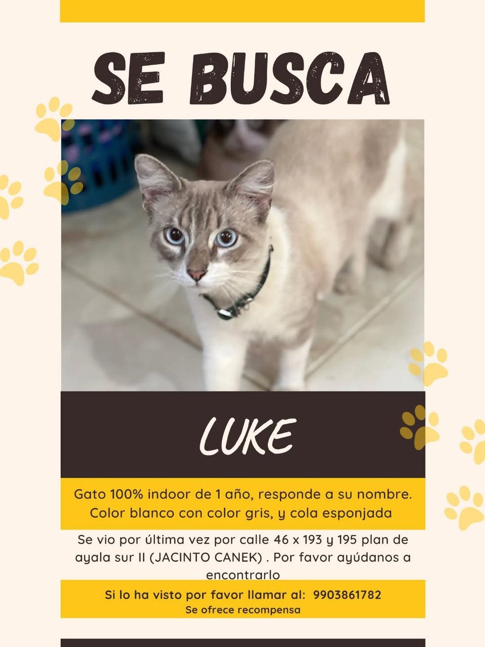 Cartel de búsqueda de gato desaparecido Luke con foto, contacto y descripción física del animal.