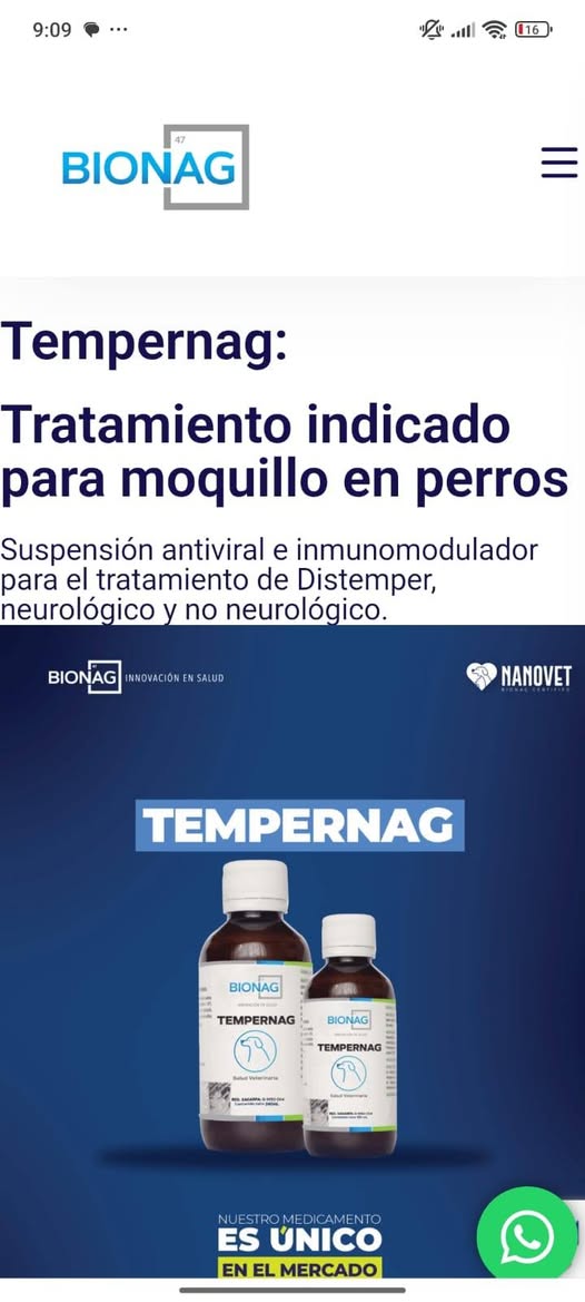 Perro ayuda médica en Mérida