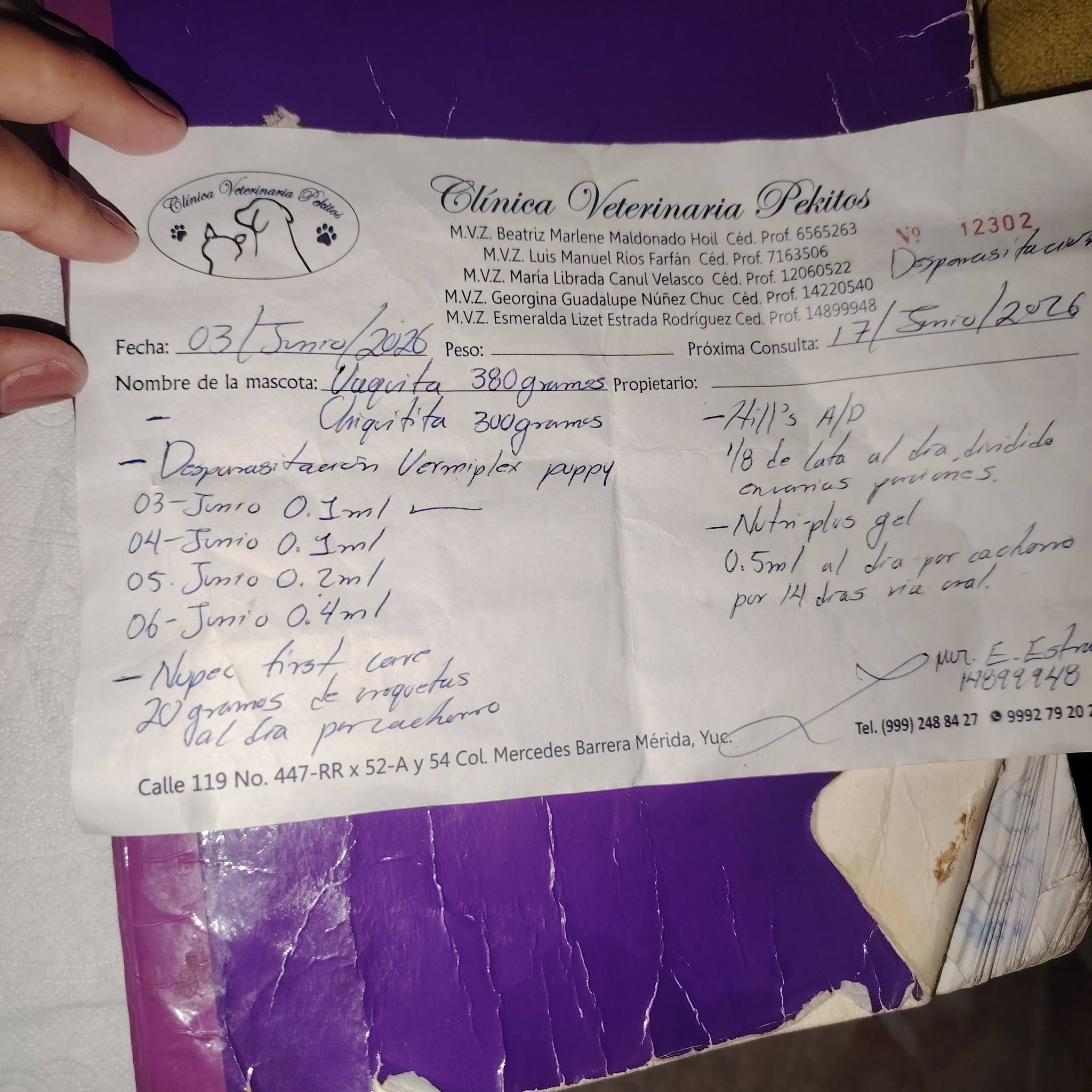 Perro ayuda médica en Mérida