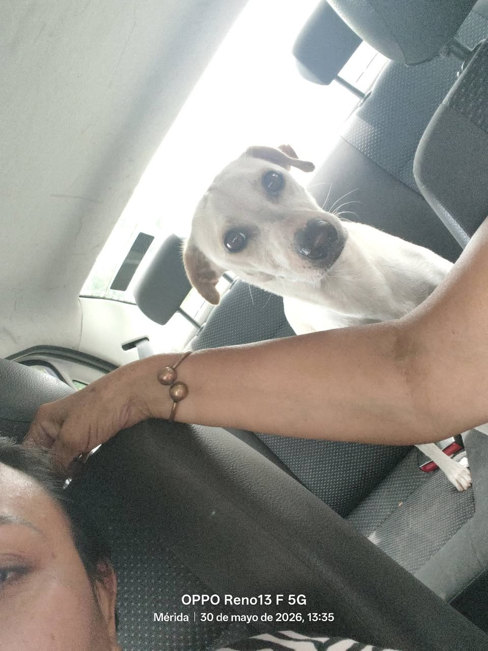 Blanquita