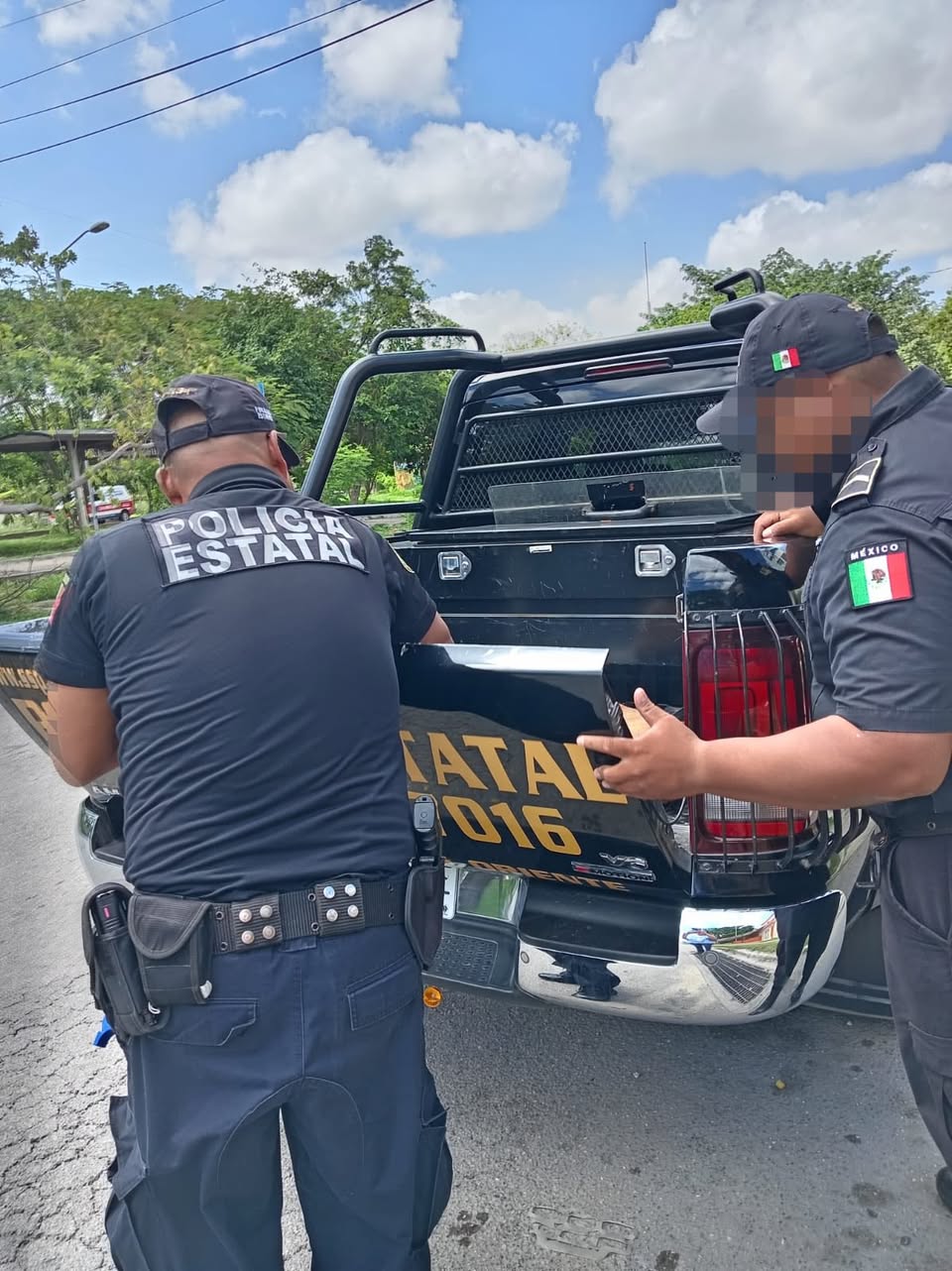 Perro rescate animal en Mérida
