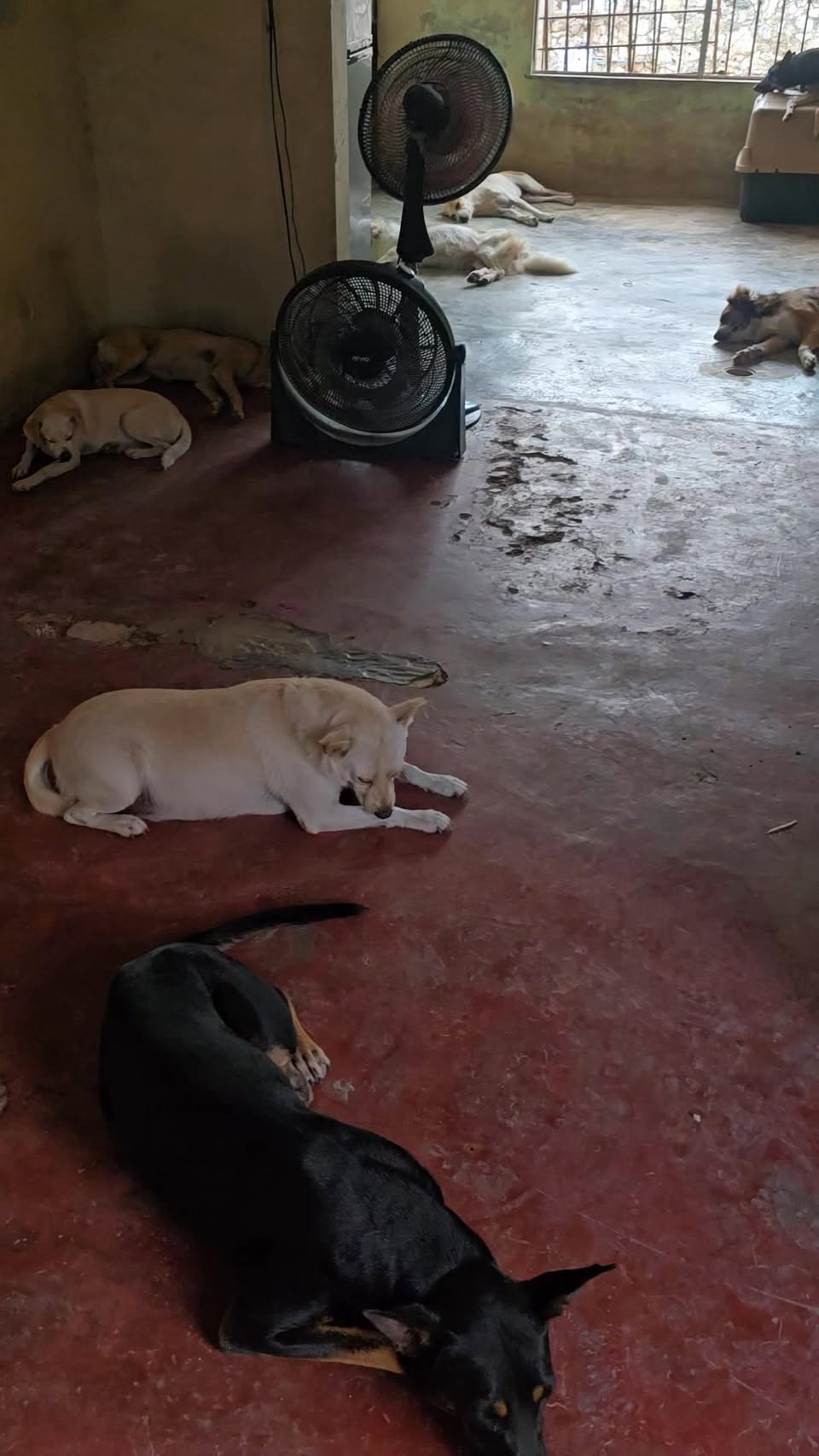 Otro ayuda médica en Mérida