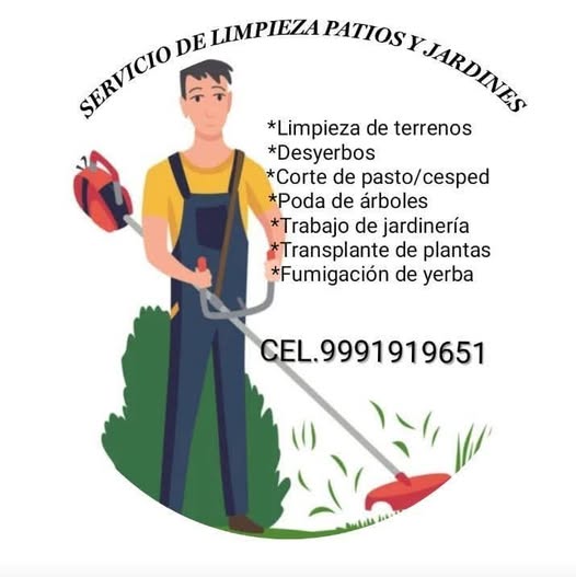 Servicio de Limpieza de Patios y Jardines
