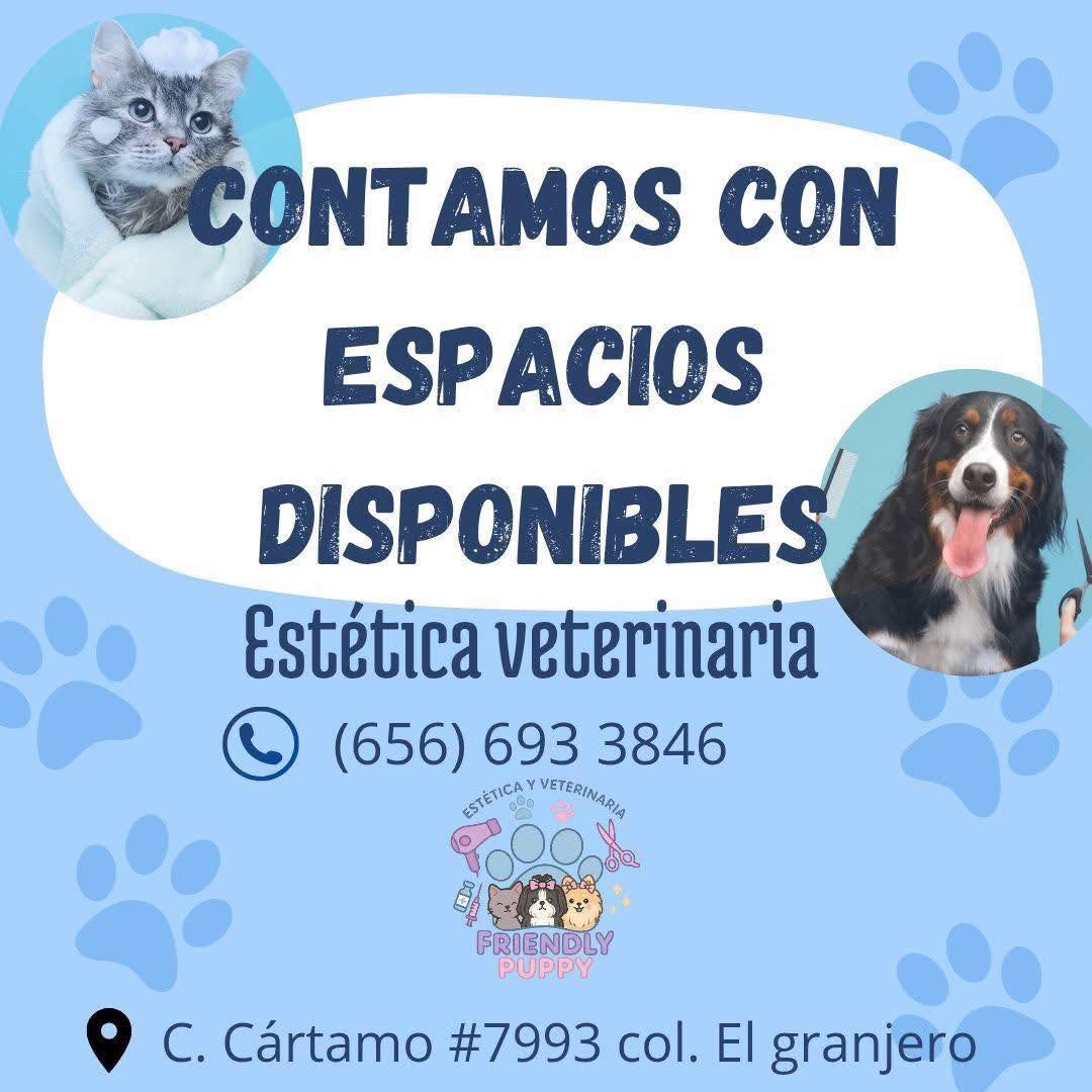 Estética y Veterinaria Friendly Puppy