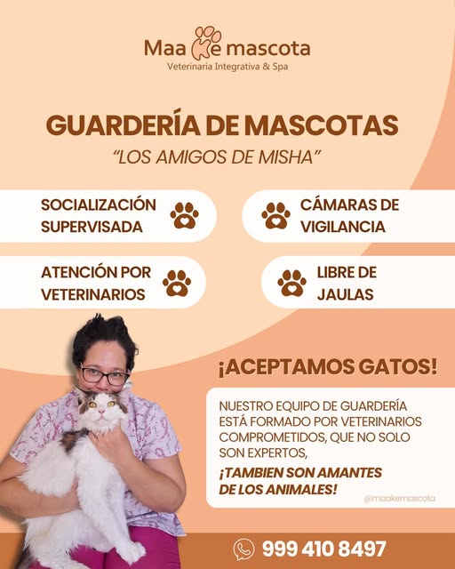 Maa que Mascota - Guardería Los Amigos de Misha