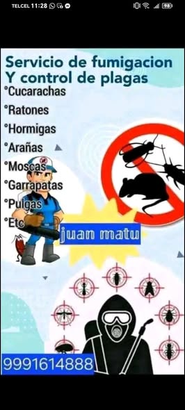 Servicio de fumigación y control de plagas