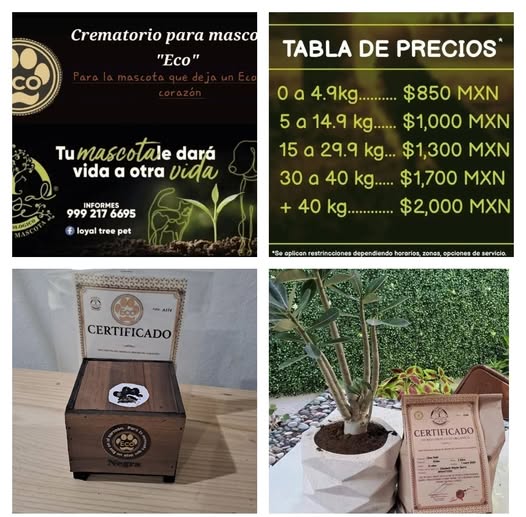 Crematorio Eco y Funeraria Ecológica Loyaltreepet