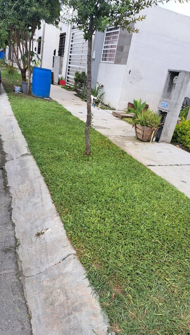 Jardinería Oscar