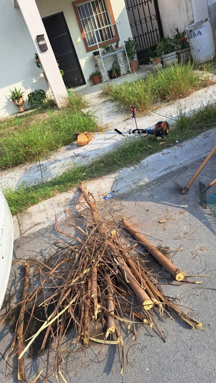 Jardinería Oscar