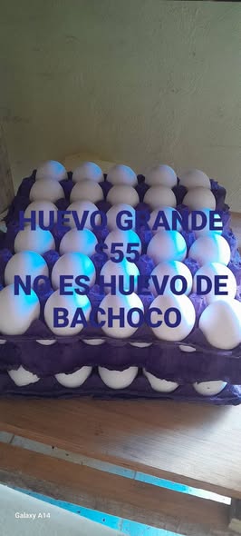 Venta de huevo grande y papel higiénico