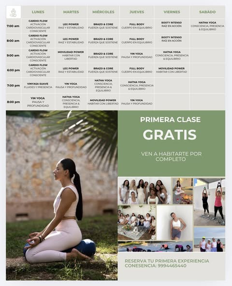 Conesencia: Estudio de Yoga y Movimiento