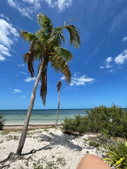 Venta de terreno de 160 m2 entre dos playas en Yucatán