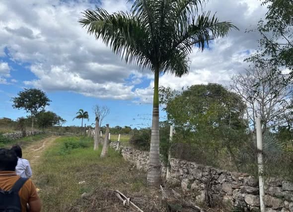 Venta de terreno de 160 m2 entre dos playas en Yucatán
