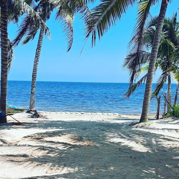 Venta de terreno de 160 m2 entre dos playas en Yucatán