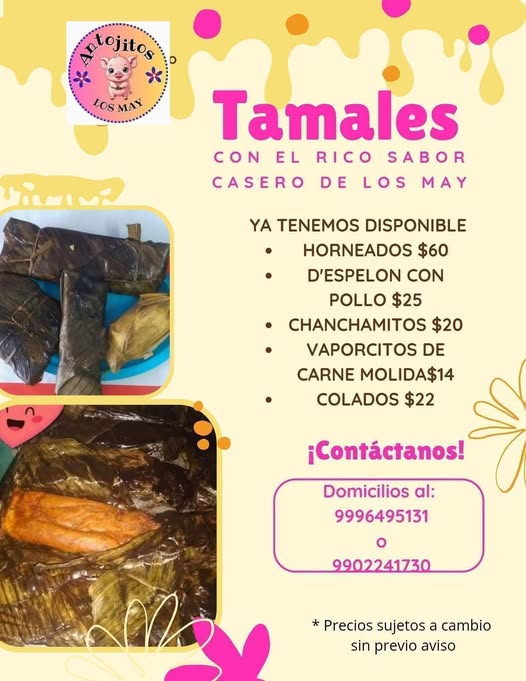Patojitos - Tamales Caseros de los May