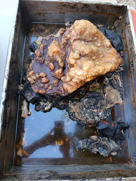 Taquería La Yucateca