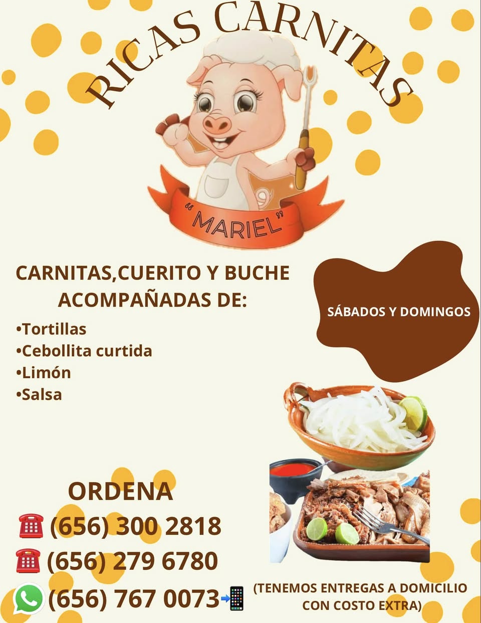 Ricas Carnitas Mariel