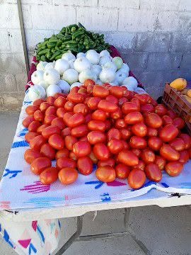 Frutas y Verduras en Hacienda del Sol