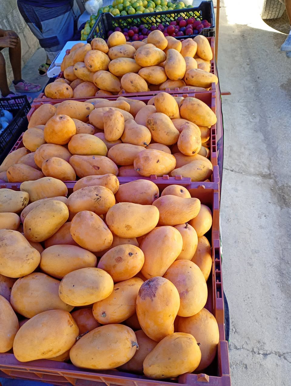 Frutas y Verduras en Hacienda del Sol