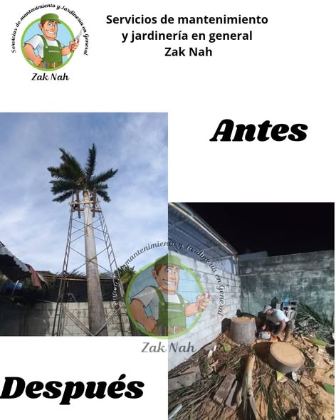 Zak Nah - Servicios de jardinería y mantenimiento
