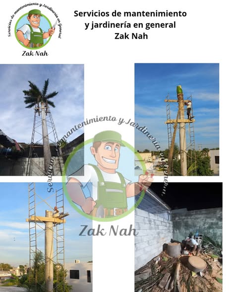 Zak Nah - Servicios de jardinería y mantenimiento